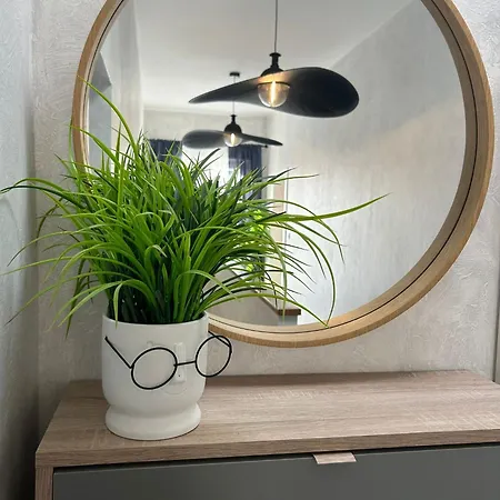 Διαμέρισμα Penthouse Mira *